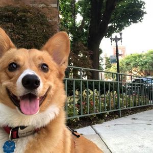 Meet your Posher, Kristen